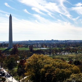 The Washington Monument view